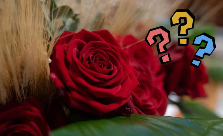 El truc que ningú et va explicar: fes que la rosa de Sant Jordi duri setmanes