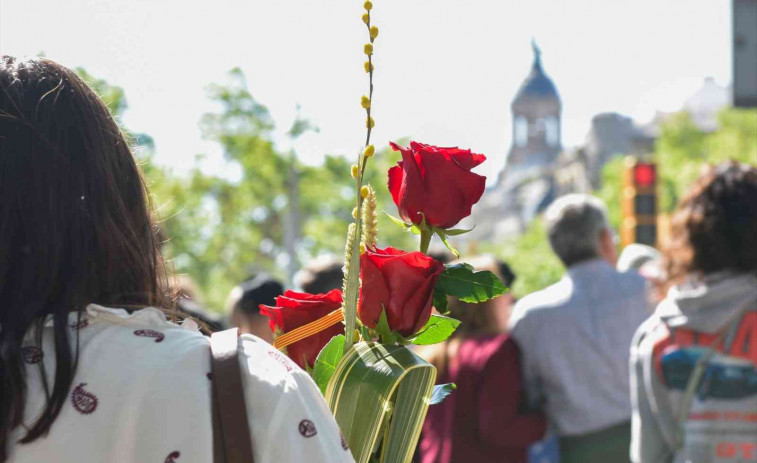 Aglomeracions, llibres i emocions: Sant Jordi 2025 rebenta els carrers de Barcelona amb cues, sol i màgia