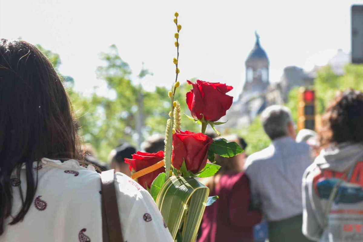 Una persona lleva una rosa durante la Diada de Sant Jordi 2025, a 23 de abril de 2025, en Barcelona,