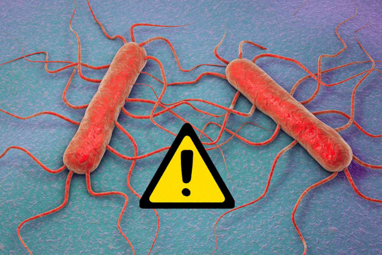Un bacteri comú està provocant que es disparin els casos de càncer colorectal en joves