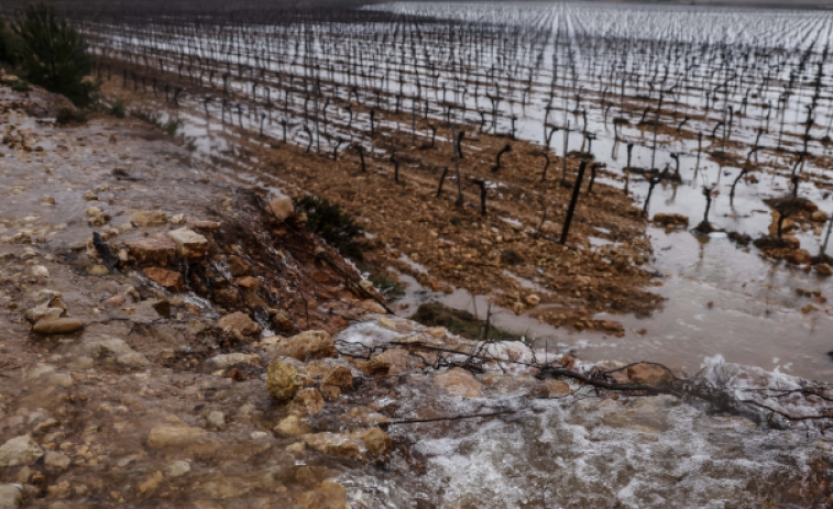 Destrosses milionàries a Lleida: les tempestes deixen 25 milions d'euros en danys sobre l'agricultura