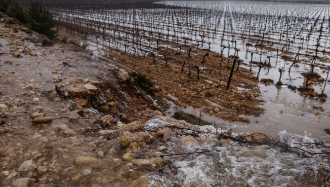 Destrosses milionàries a Lleida: les tempestes deixen 25 milions d'euros en danys sobre l'agricultura