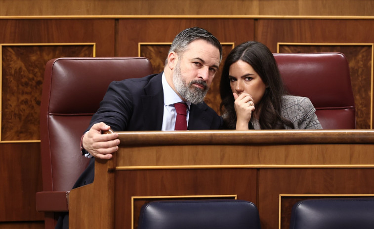 El Tribunal de Comptes multa a Vox amb 862.000 euros per rebre donacions irregulars