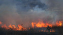 Caos a Jerusalem per una onada d'incendis: Israel demana ajuda internacional