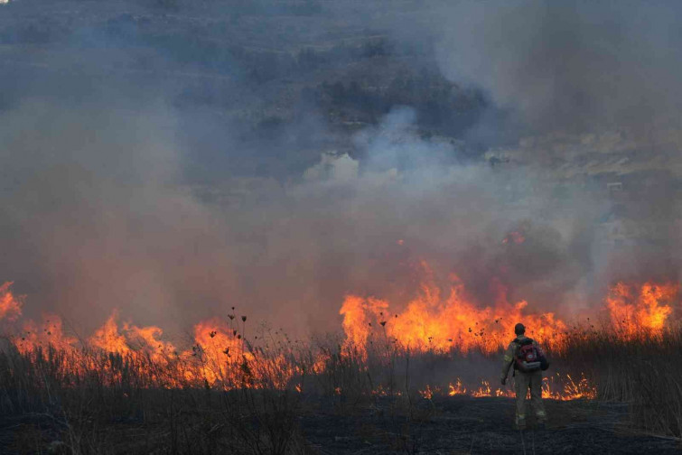 Caos a Jerusalem per una onada d'incendis: Israel demana ajuda internacional