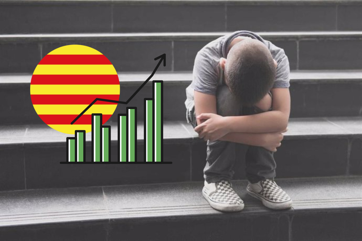 Catalunyapress bullyingcat