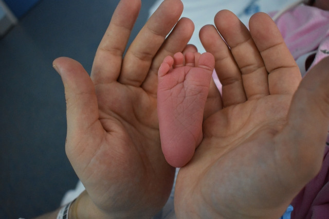 EuropaPress 6586322 cribado neonatal extrae gotita sangre talon bebe