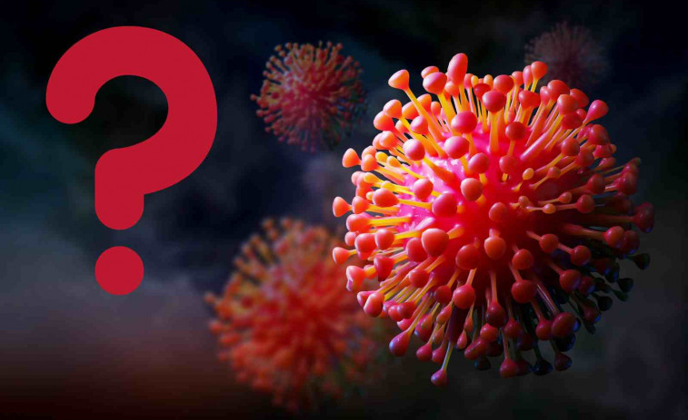 I si el Covid no va néixer a Wuhan? Un nou estudi canvia tot el que crèiem sobre l'origen del virus