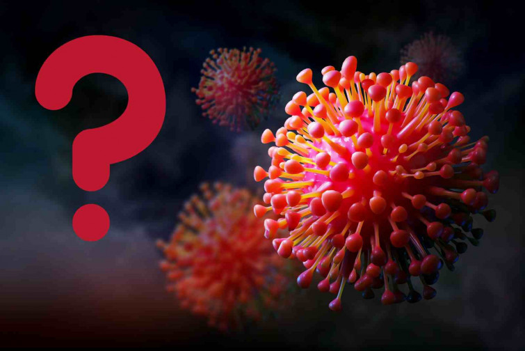 I si el Covid no va néixer a Wuhan? Un nou estudi canvia tot el que crèiem sobre l'origen del virus