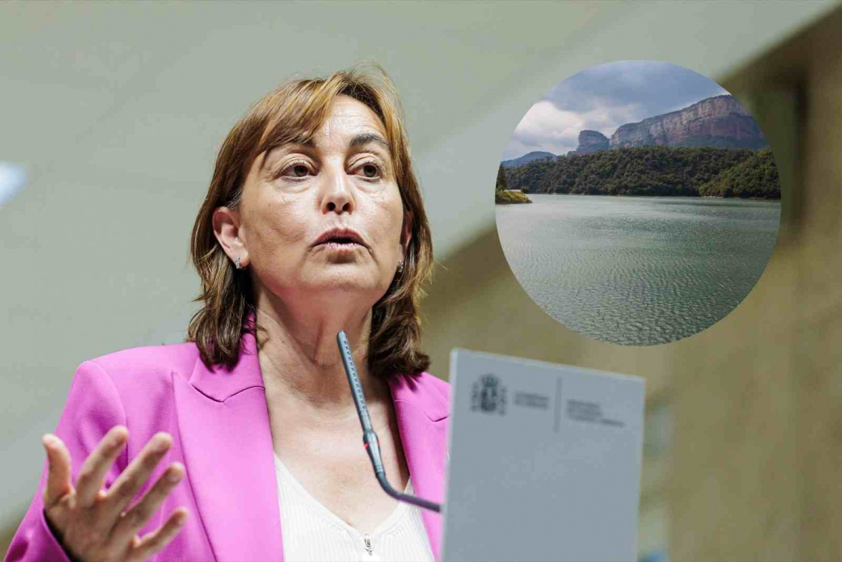 La Consellera Paneque en un fotomontaje con el pantano de Sau