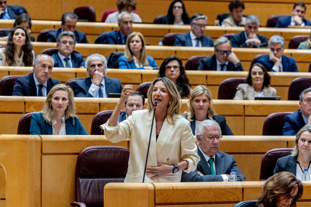 La portaveu del PP al Senat, Alicia García