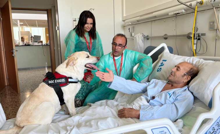 Retrobaments que curen l'ànima! Pacients hospitalitzats podran abraçar als seus gossos a Girona