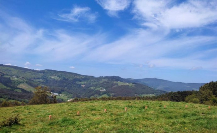 Oasi tèrmic en aquest 21 de maig, un dimecres assolellat a Catalunya