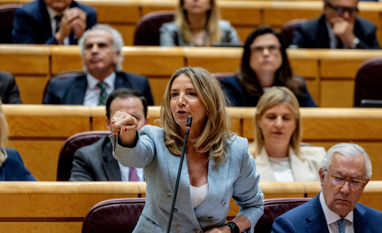 El PP elimina en la dissolució d'associacions franquistes i se centra en penalitzar l'enaltiment d'ETA