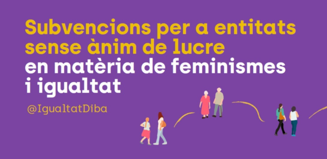 EuropaPress 6760448 subvencion entidades animo lucro proyectos igualdad feminismo diputacion