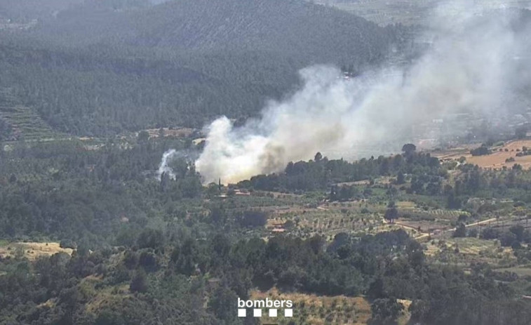 Fins a 6 dotacions de Bombers treballen per a extingir un incendi de vegetació a Marçà