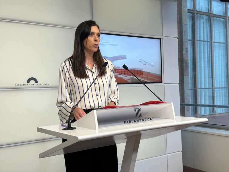 EuropaPress 6771786 portavoz psc parlament elena diez rueda prensa
