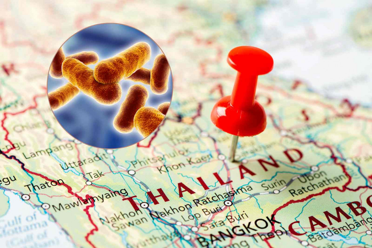 Antrax, Tailandia   CANVA