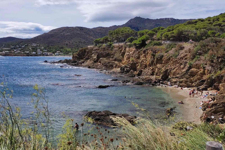 Playa de Sota s'Arenella, en El Port de la Selva   Wikipedia