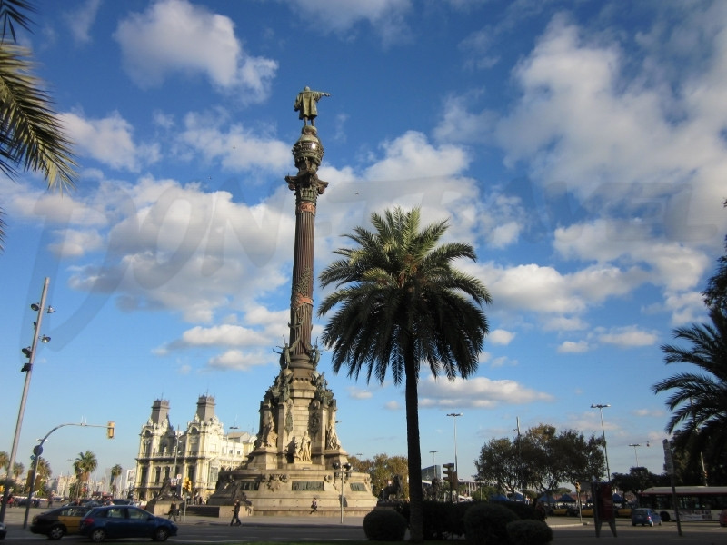 Colon
