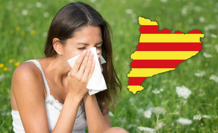 La temporada més dura per als al·lèrgics: Catalunya registra rècord de pólen