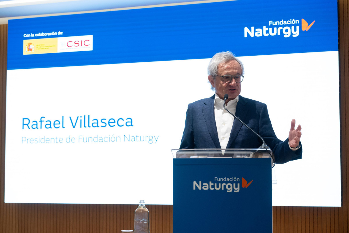 Rafael Villaseca Fundación Naturgy