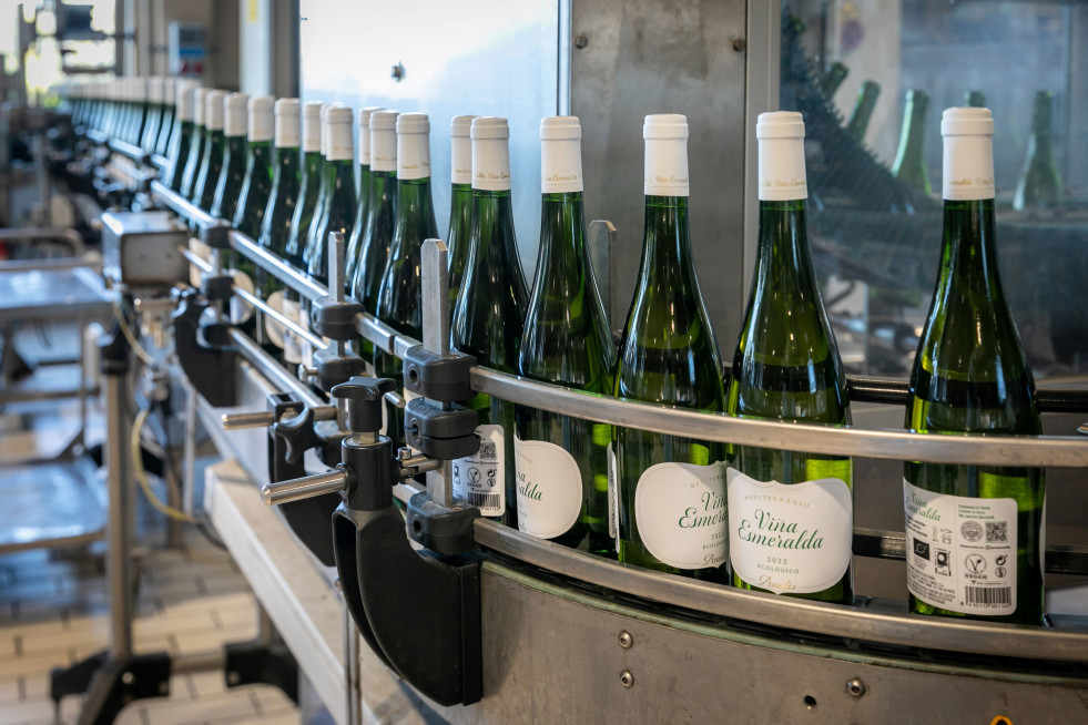 Línea de embotellamiento de vinos del Penedès (Barcelona)