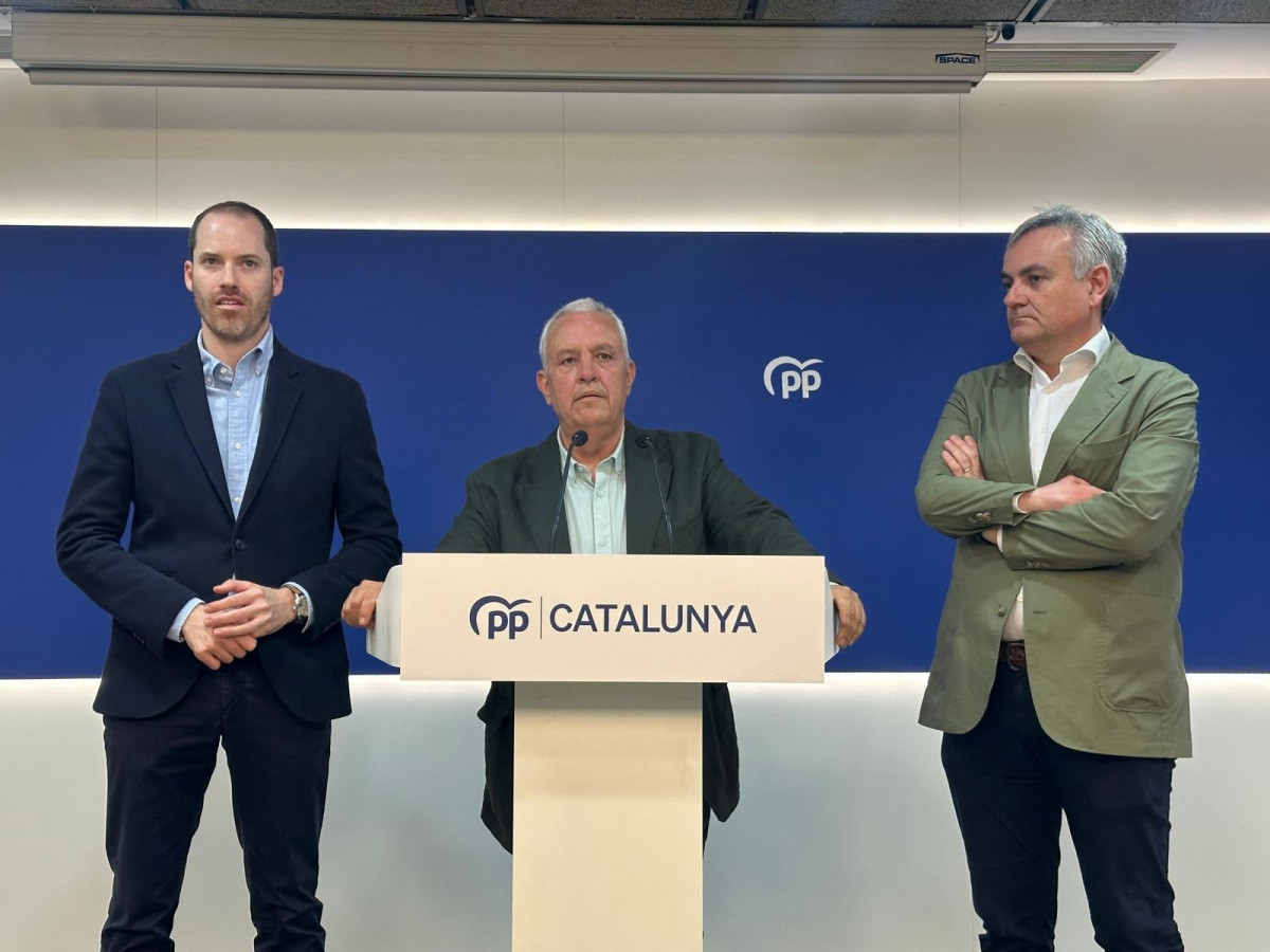 EuropaPress 6796539 portavoz pp parlament juan fernandez secretario general pp catalan santi