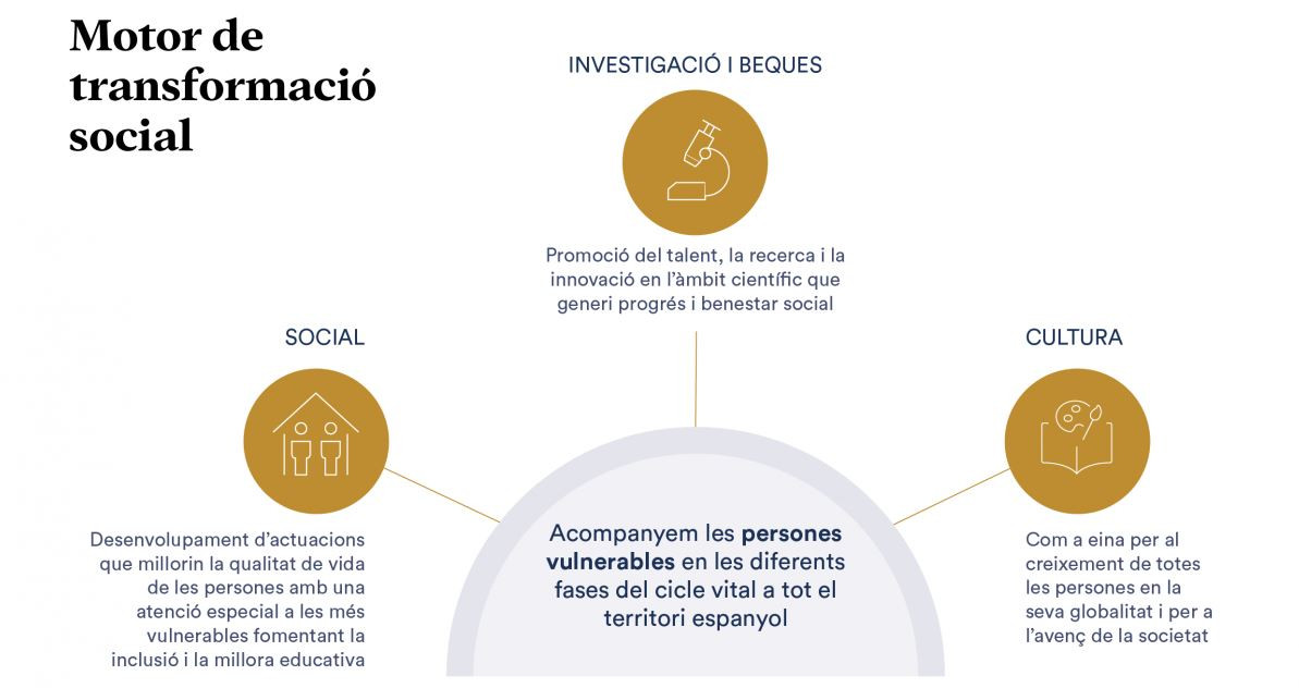 Motortransformaciosocial