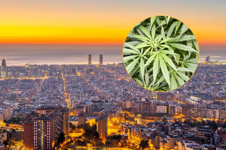 Cau el primer club cannàbic de Barcelona! Precintat per vendre substàncies tot i la prohibició