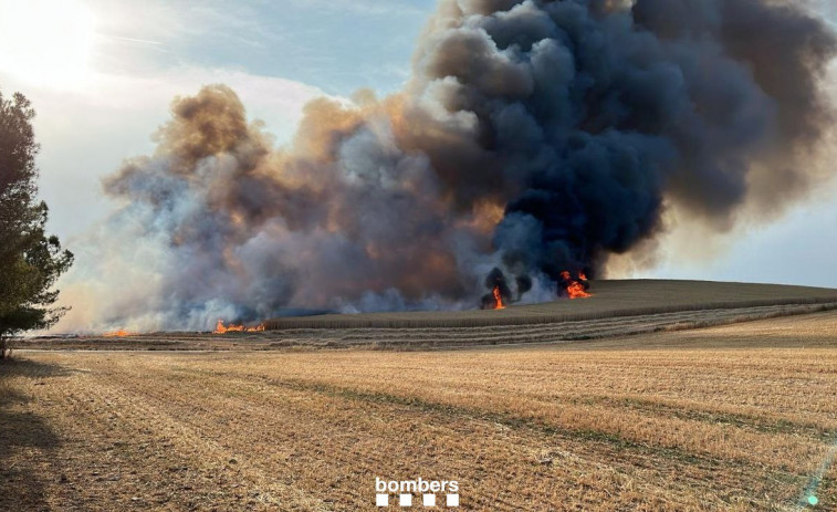 Controlat l'incendi en un camp de cereals a Oliola després de més de tres hores de treball