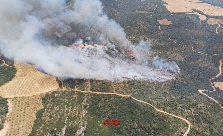 Bombers treballa en un incendi de vegetació a Os de Balaguer