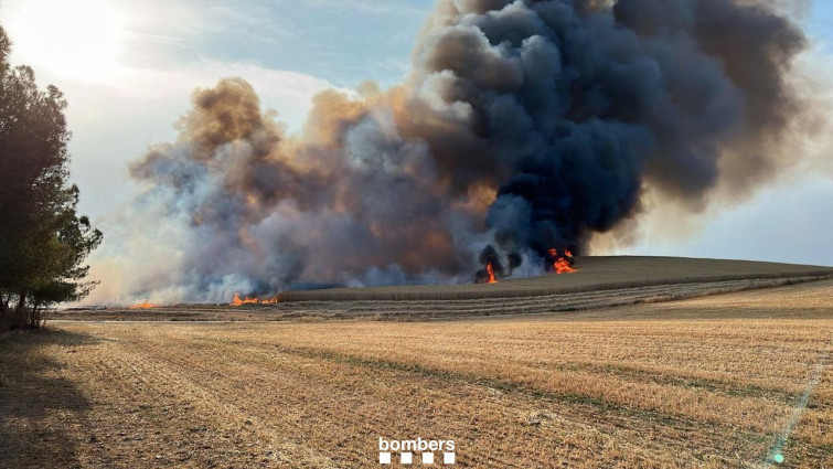 Bombers dóna per controlats els incendis de Granyena de Segarra, Oliola i el Pinell de Solsonès