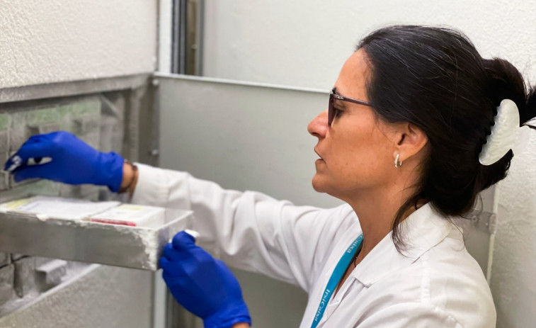 El Cosmocaixa de Barcelona reunirà experts en l'àmbit del microbioma en un congrés