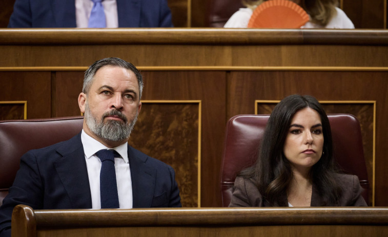 Vox culpa al PP i als magistrats conservadors del TC de l'aval a l'amnistia