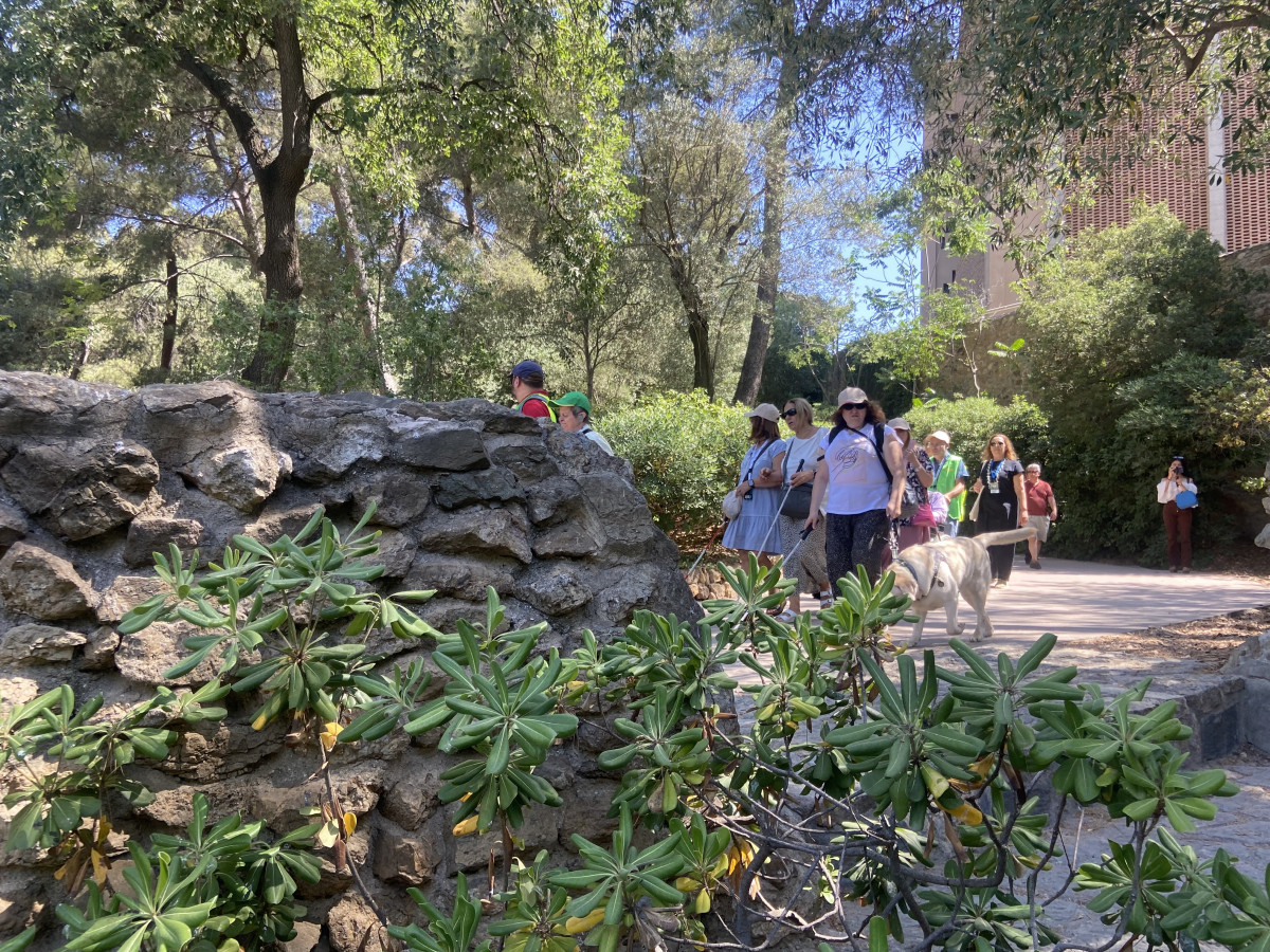 IMG 7410 (1)