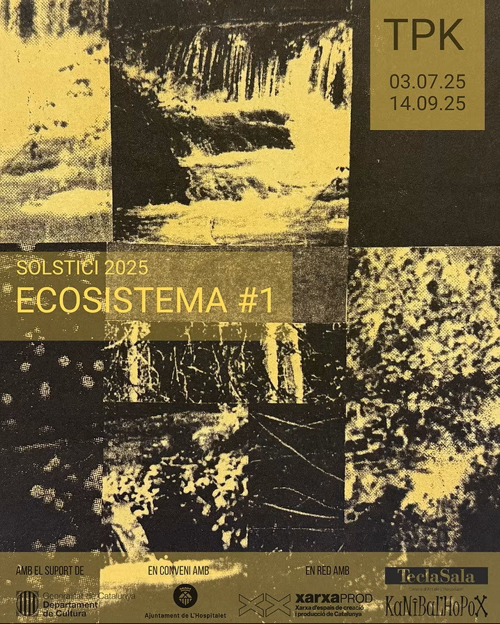 SOLSTICI 25 Cartel