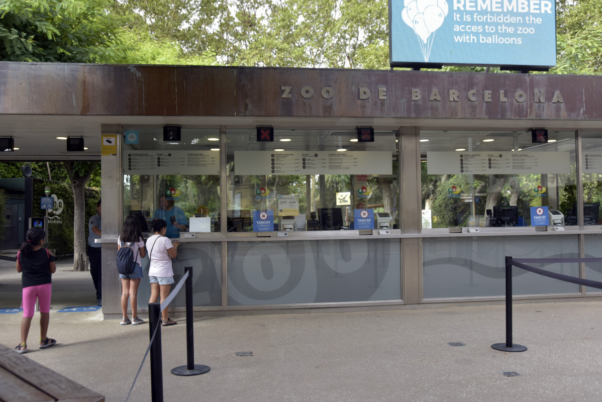 EuropaPress 5375658 entrada zoo barcelona 10 agosto 2023 barcelona catalunya espana calor zoo
