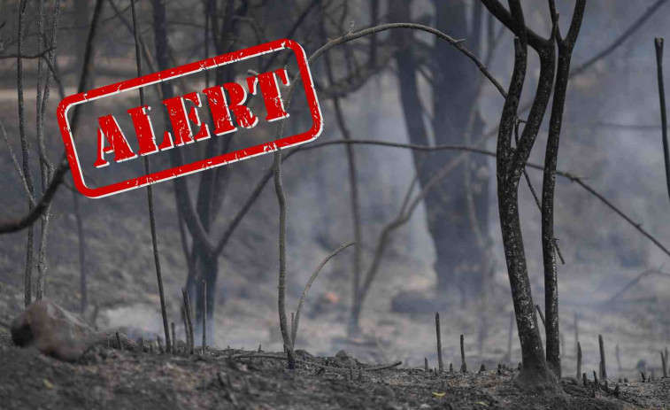 Esclaten bombes durant el gran incendi a Paüls: els veïns de Tortosa reporten explosions