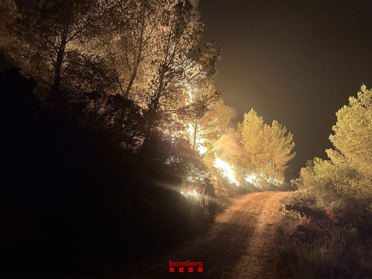 Lluita dels Bombers al Baix Ebre: una nit d'esforç i esperança