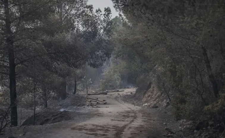 Última hora! L'incendi de Paüls, a un pas de ser controlat