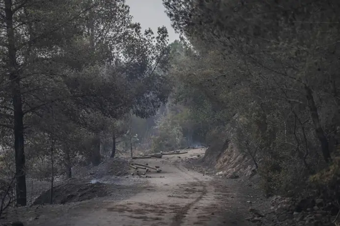 Última hora! L'incendi de Paüls, a un pas de ser controlat