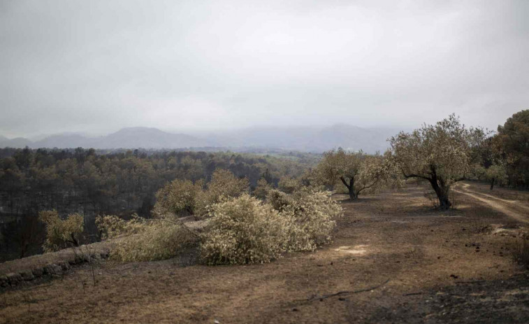 Un bomber mor després de caure per un barranc mentre treballava per a extingir l'incendi de Paüls