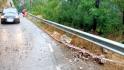 Esllavissada a Foradada per les intenses pluges
