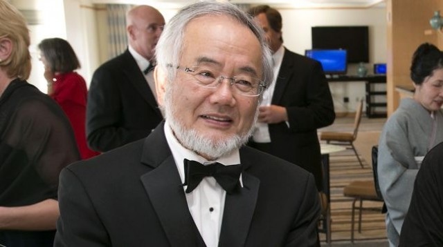 El japonès Yoshinori Ohsumi, premi Nobel de Medicina 2016