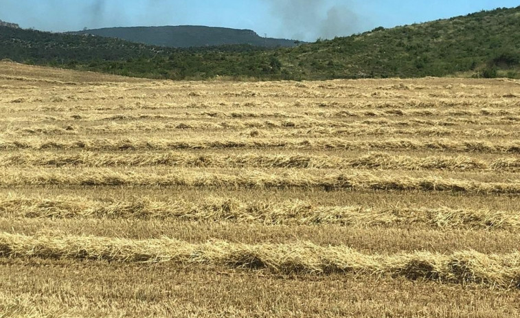 Els Bombers avancen en l'extinció d'un incendi de baixa gravetat a Bellprat