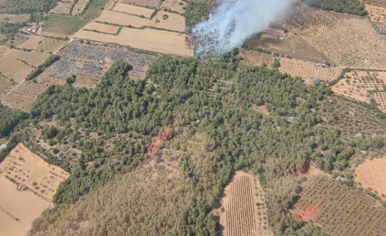 Dos ferits a l'incendi, ja controlat, del Pla de Santa Maria i Santes Creus