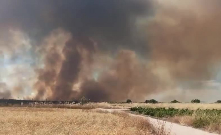 Vídeo: Així es veu l'incendi que ha confinat a 2.500 veïns de Cassarrubios de la Muntanya, a Toledo