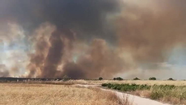 Vídeo: Així es veu l'incendi que ha confinat a 2.500 veïns de Cassarrubios de la Muntanya, a Toledo
