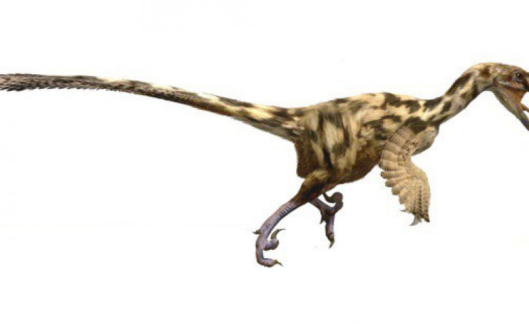 Troben sorprenent diversitat de dinosaures carnívors als Pirineus abans de la seva extinció
